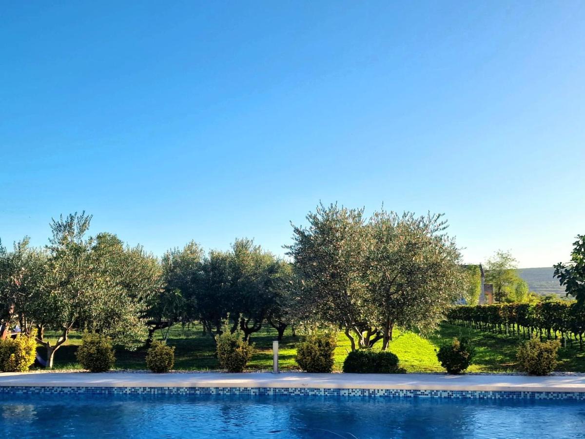 Villa Lorema-Pet Friendly On 5000 Sqm Garden,Pool, Jacuzzi, Billiard&Ps5 Sveti Filip i Jakov Exterior foto